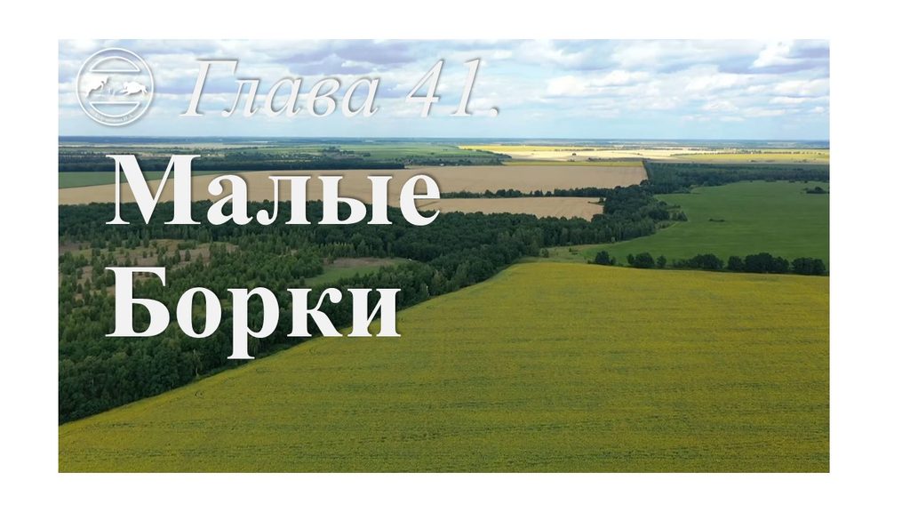 Глава 41. Малые Борки
