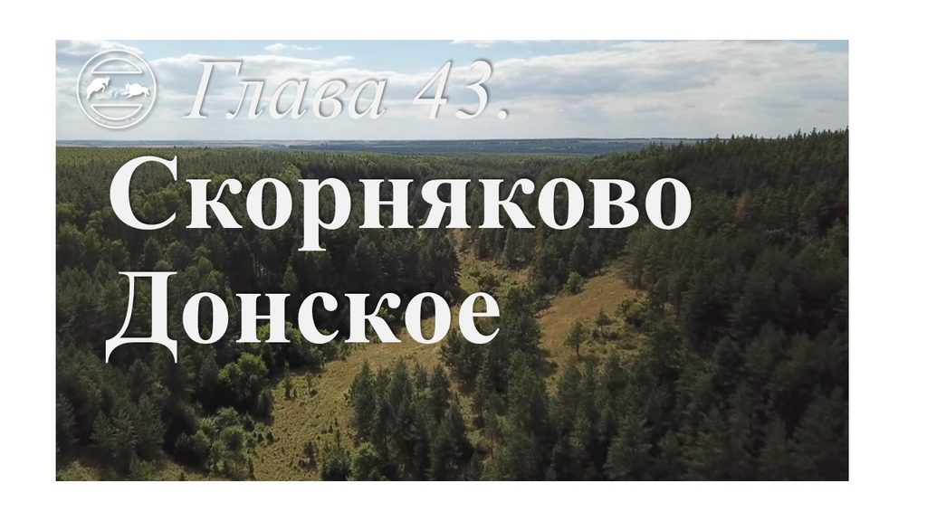 Глава 43. Скорняково Донское