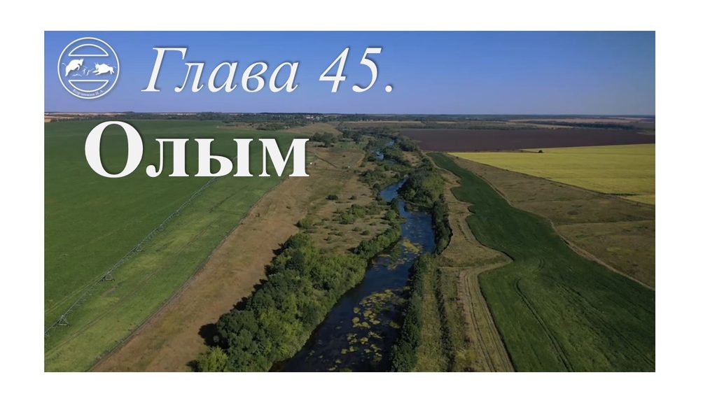 Глава 45. Олым